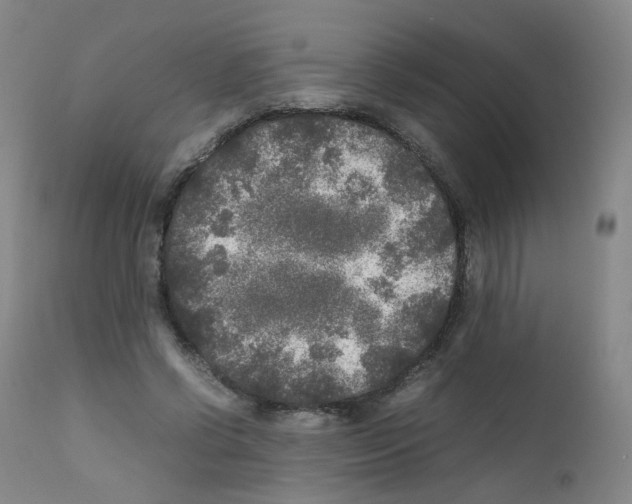 X0000111840542200909031706