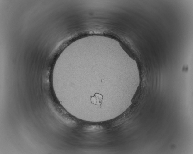 X0000111840543200909031706