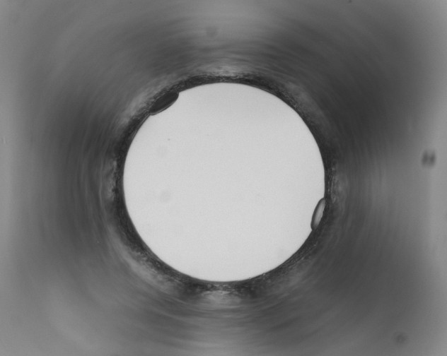 X0000111840544200909031706