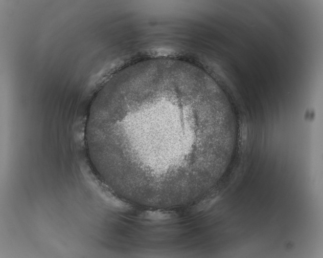 X0000111840545200909031706