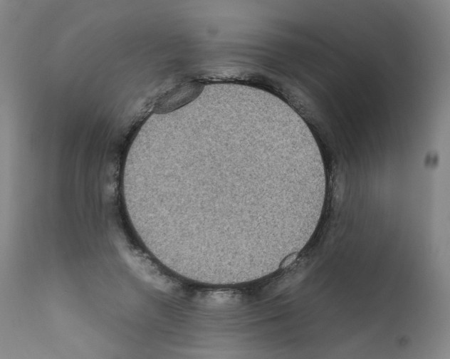 X0000111840546200909031706