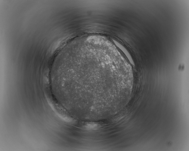 X0000111840547200909031706