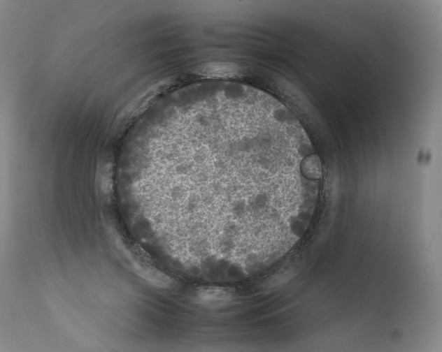 X0000111840549200909031706