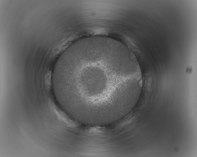 X0000111840550200909031706