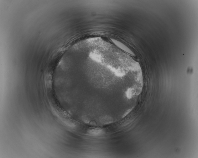 X0000111840551200909031706