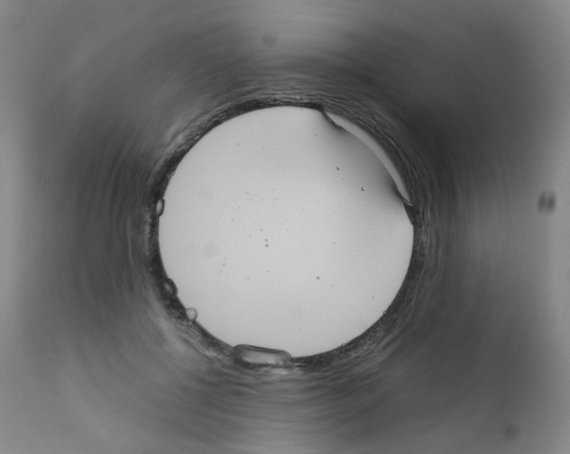 X0000111840552200909031706