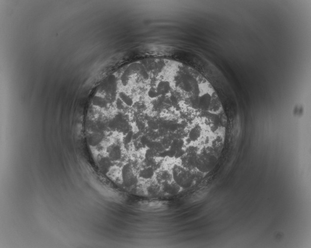 X0000111840553200909031706