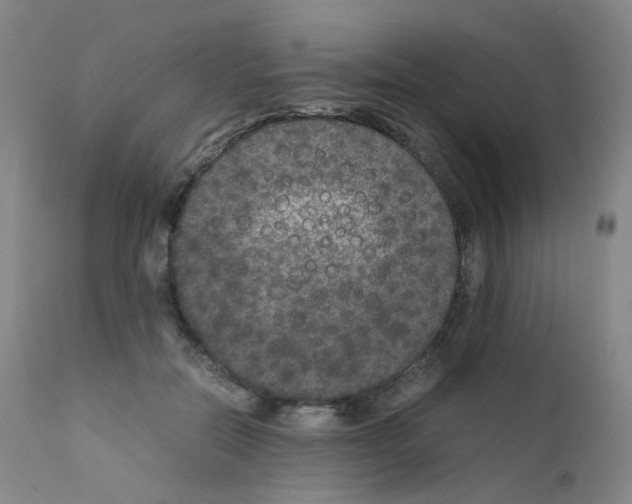 X0000111840554200909031706