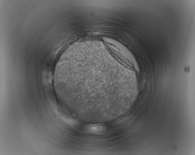 X0000111840555200909031706