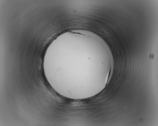 X0000111840556200909031706