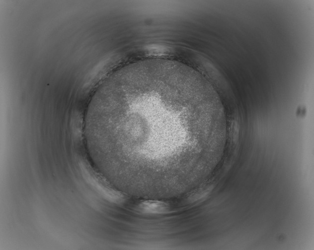 X0000111840557200909031706