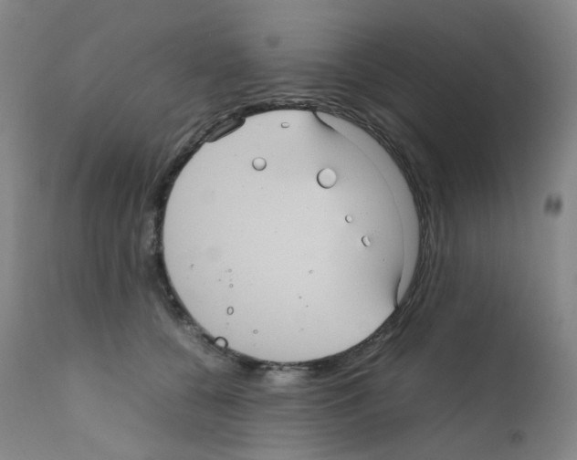 X0000111840560200909031706