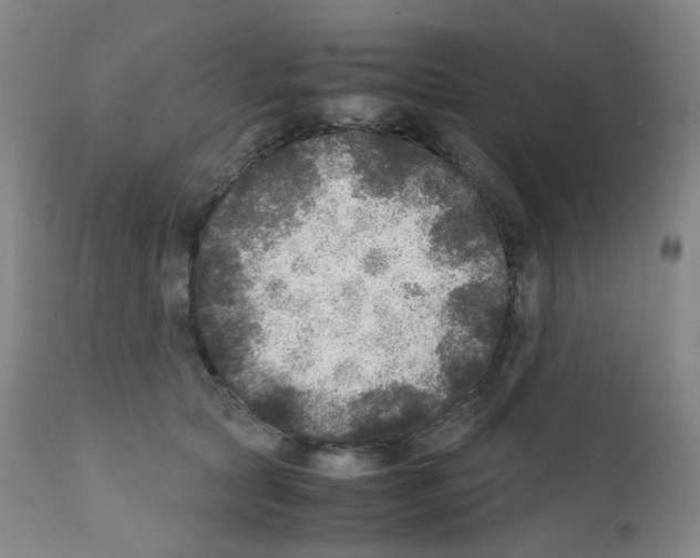 X0000111840561200909031706