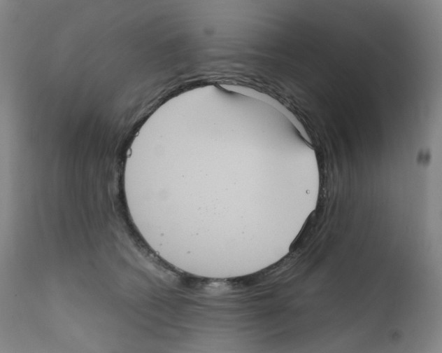 X0000111840562200909031706