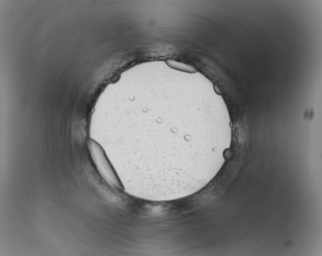 X0000111840564200909031706