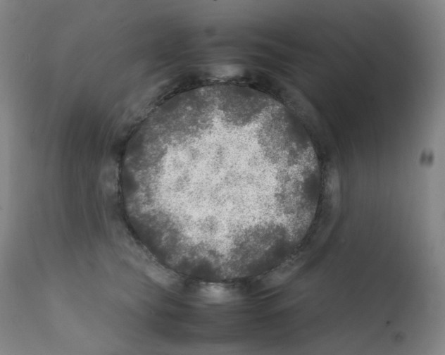 X0000111840565200909031707