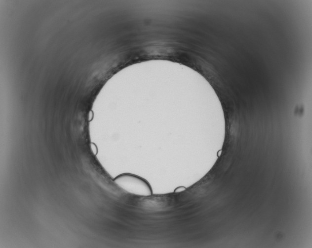 X0000111840567200909031707