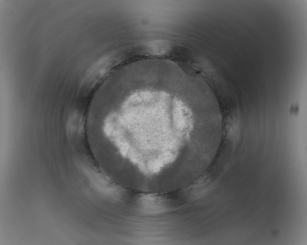 X0000111840568200909031707