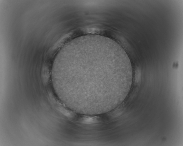 X0000111840569200909031707