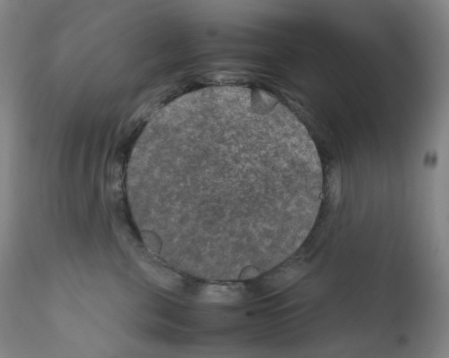 X0000111840571200909031707