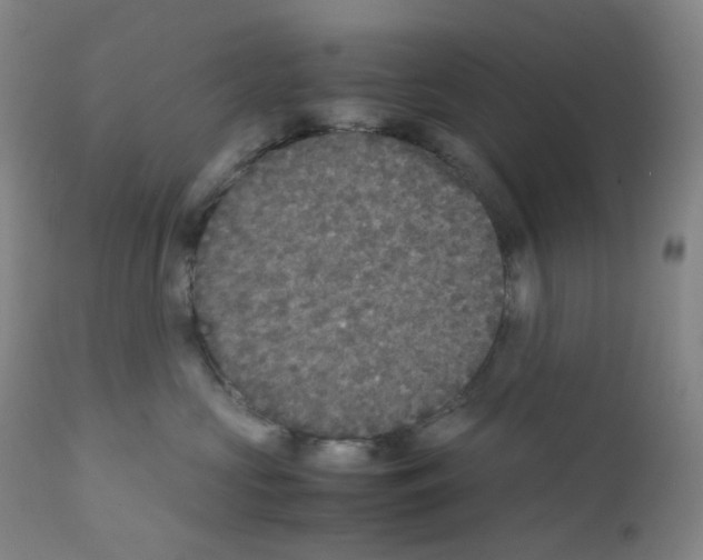 X0000111840573200909031707