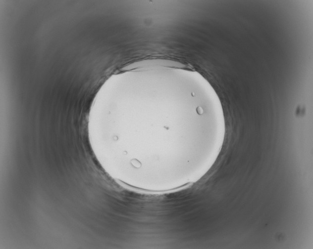 X0000111840576200909031707