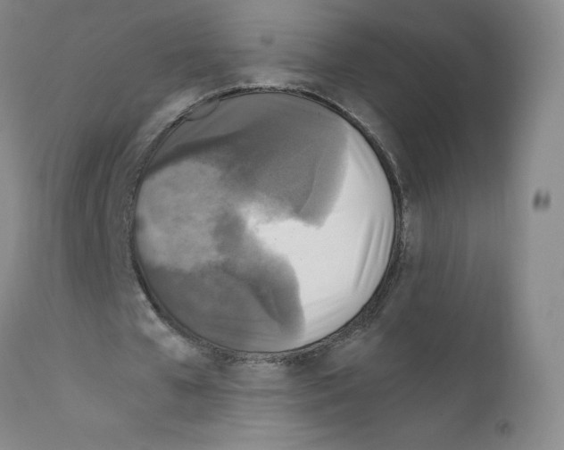 X0000111840577200909031706