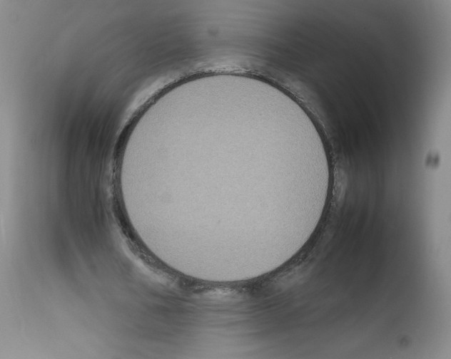 X0000111840578200909031706