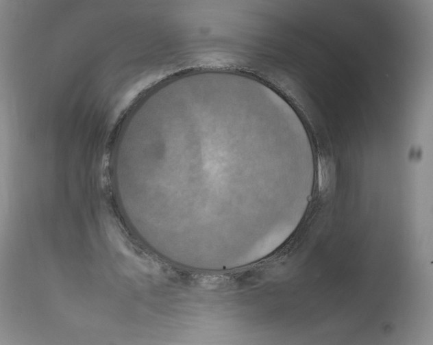 X0000111840579200909031706