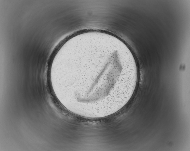 X0000111840580200909031706