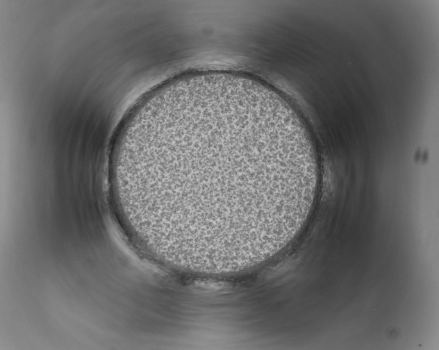 X0000111840582200909031706