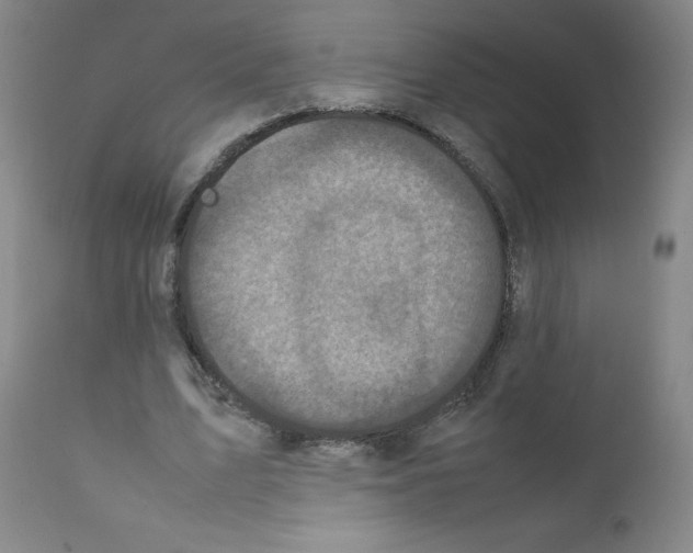 X0000111840583200909031706