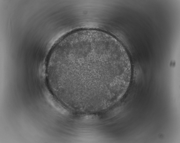 X0000111840584200909031706