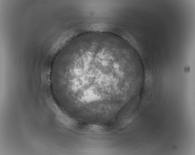 X0000111840585200909031706