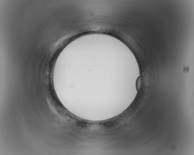 X0000111840587200909031706