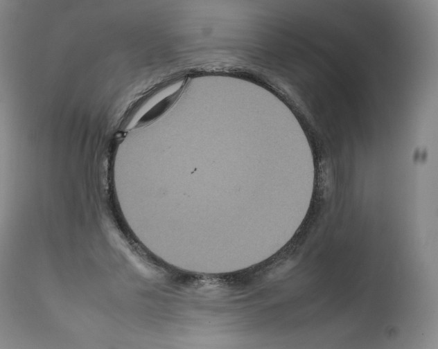 X0000111840589200909031706