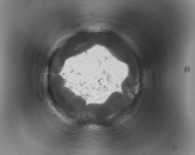 X0000111840590200909031706