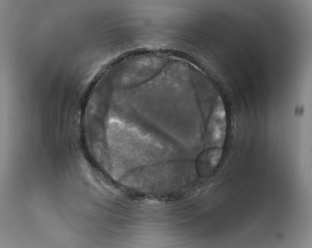 X0000111840592200909031706