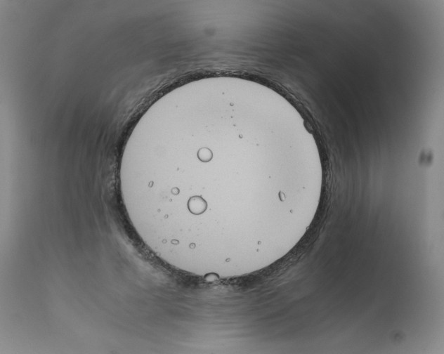 X0000111840593200909031706