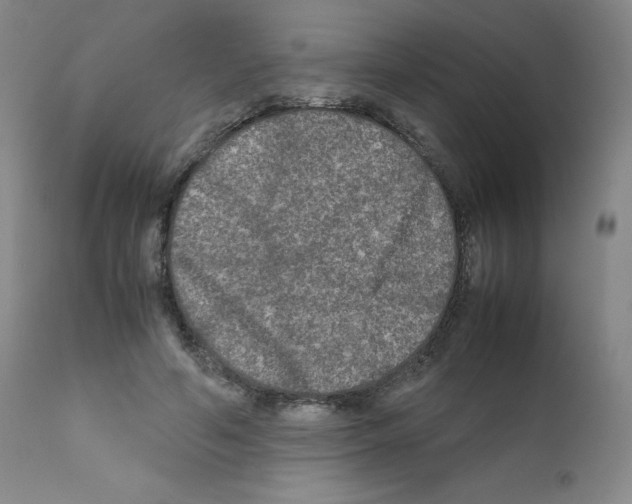 X0000111840594200909031706