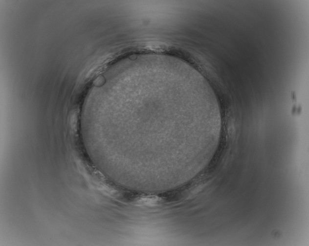 X0000111840595200909031706