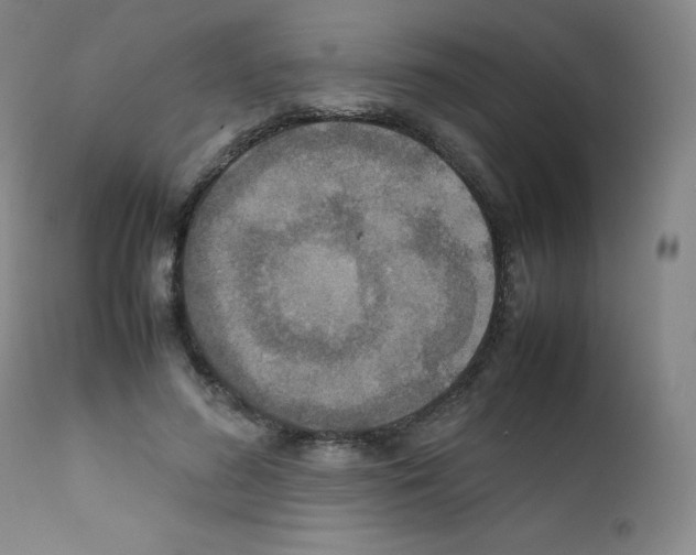 X0000111840596200909031706