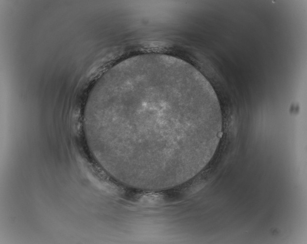 X0000111840599200909031706