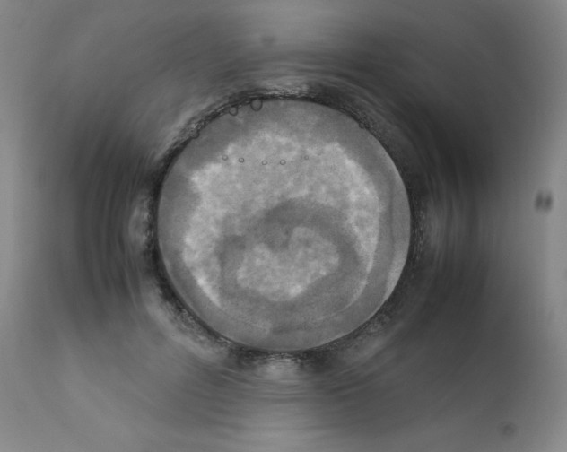 X0000111840600200909031706