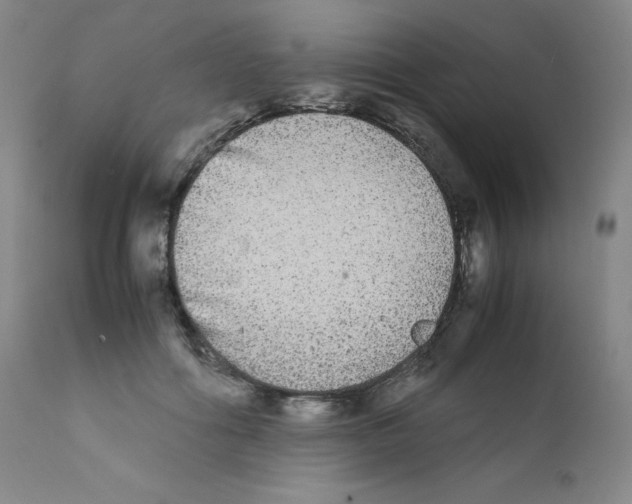 X0000111840602200909031705