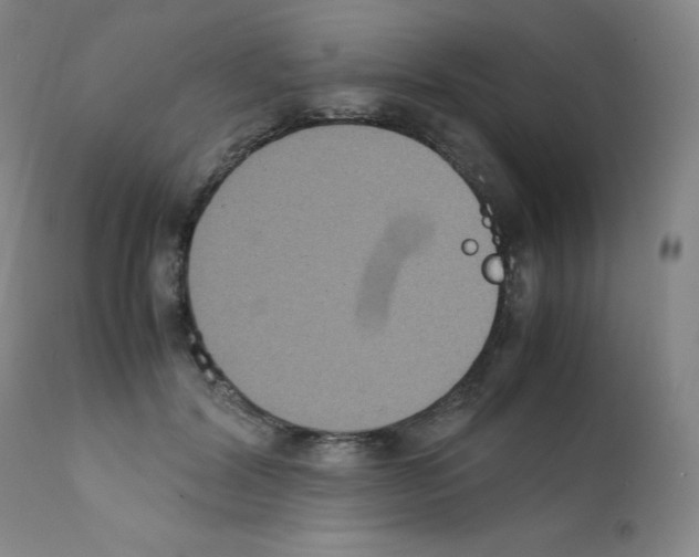 X0000111840604200909031705