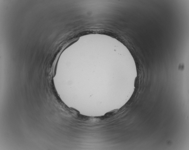 X0000111840609200909031705