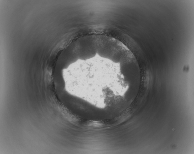 X0000111840610200909031705