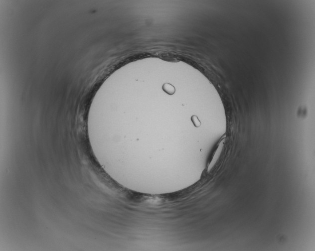 X0000111840611200909031705