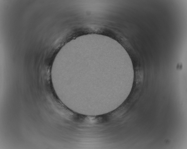 X0000111840613200909031705